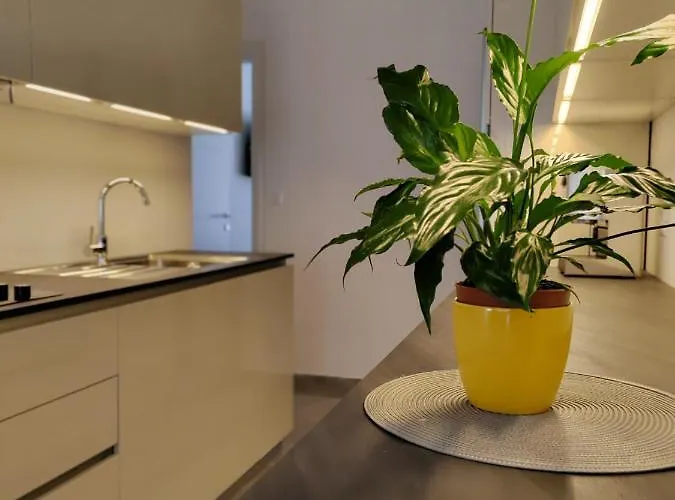 Petar Apartman