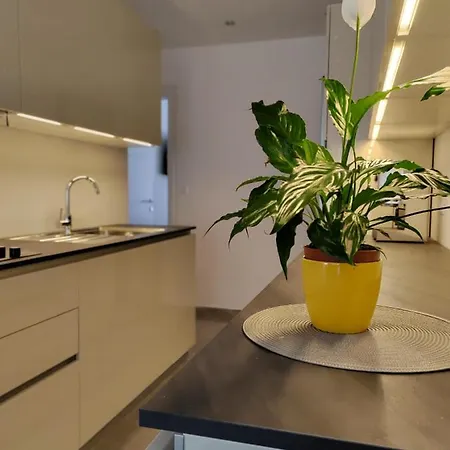 Petar Apartamento